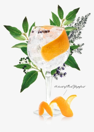 Summer Serve Copa - Common Juniper Alchemy Plant #3512620