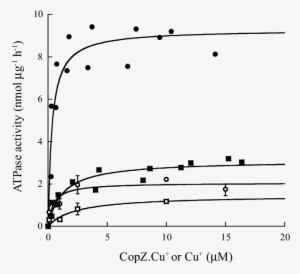 Copzcu Activation Of N,c-copa And C 27,30,751,754 A - Copper #3512887