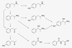 Open - Methamphetamine #3513047