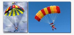 Why Is February 29, 2016 A Special Aviation Day Topics - Skydiving Parachute #3513298