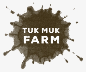 Tukmuk Website Logoart V3 - Ülke Tv #3513728