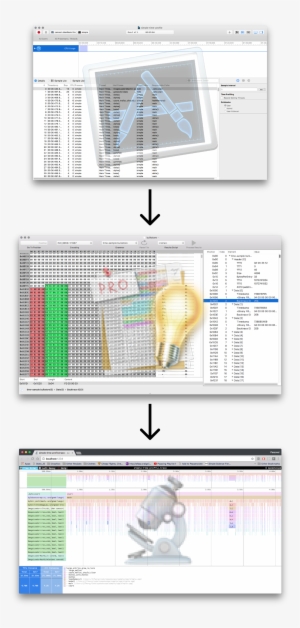 File Format #3515018