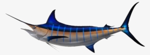Marlin - Marlin Fish #3515545