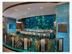 Downtown - Golden Nugget Las Vegas Hotel & Casino #3515750