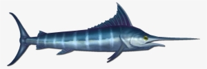 Marlin Are A Common Fish That Can Be Found At The Bottom - Swordfish #3516098