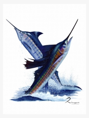 Sailfish #3516118
