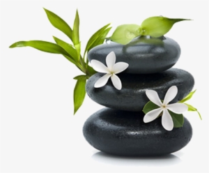 Hollywood Hills Thai Spa's Services - Hama Mouse Pad Relax #3518159