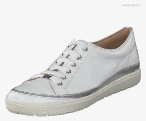 Walking Shoe #3518585