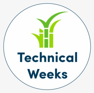 Bonsucro Technical Week Central America - Nice Things To Say For Teacher Appreciation Week #3519968
