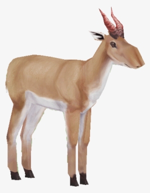 Saigaholden - Saiga Png #3522025
