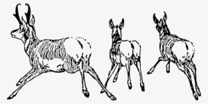 Antelope Going Away - Clip Art #3522042