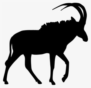 Pronghorn Antelope Silhouette Clip Art - Roan Antelope Silhouette #3522373
