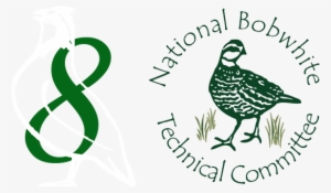 01 Pm 146591 Small Quail 8 Logo - Organization #3526264