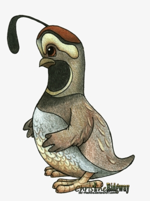 Warner Bros Quail - Quail Cartoon #3526353