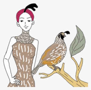 Quail - Illustration #3526402