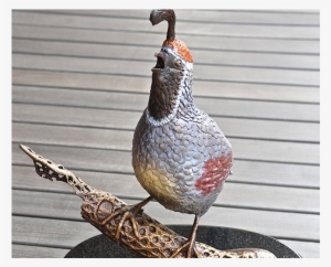 Quail Feature Pic - Turkey #3526574