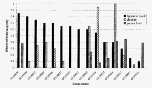 Observed Heterozygosity In Japanese Quail, Chickens, - Common Fig #3526682