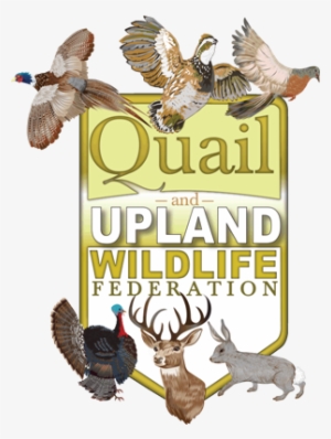 Quail & Upland Wildlife Federations - Quail And Upland Wildlife Federation #3526753