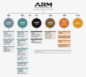 Group Structure - African Rainbow Minerals Operations #3529210