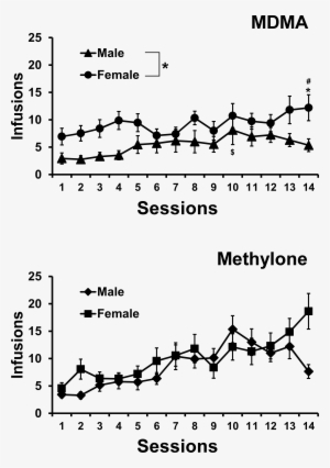 Mdma Methylone Acq - Diagram #3530898