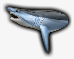 450 Lb Mako Shark Head Mount Fish Replica - Great White Shark #3531463