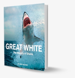 The Majesty Of Sharks - White Shark Books #3531606