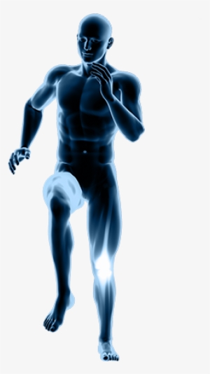 Biomechanics - Dr. Manhattan #3532244 Biomechanics - Dr. Manhattan #3532244
