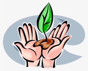 Seeds And Planting Royalty Free Vector Clip Art Illustration - Mao Com Semente Png #3533010