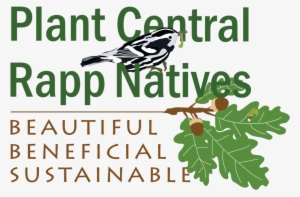 Plant Central Rapp Natives Logo - Will #3533043