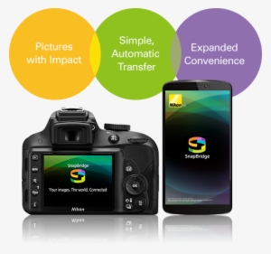 Show More - Nikon D3400 #3533648