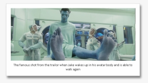 Avatar » 5586f - Avatar #3534064