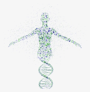 Human Genome Project Final - Fabry Disease #3534211
