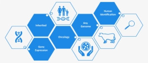 Genetic Designs #3534233