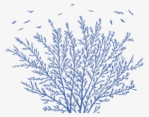 Blucitrus Tree - Illustration #3534378