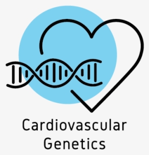 To Provide Highly Accurate Genetic Tests, That Are - Heart #3534456