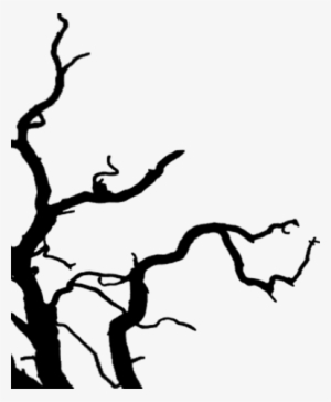 Silhouette #3534555