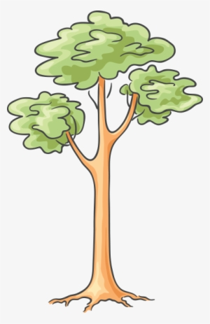 Cartoon Tree - Cartoon Tree Images Png Format #3535120