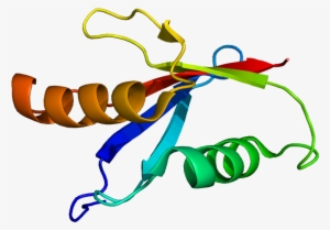 Protein Kinase C Png #3535707