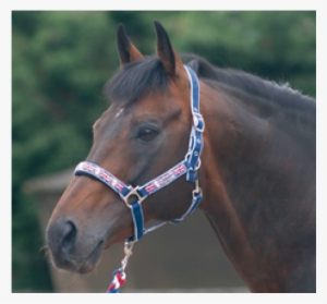 Cottage Craft Union Jack Headcollar & Lead Rope Set #3539499