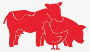 Cow, Pig And Chicken Graphic - Pig Chicken Cow #3539598