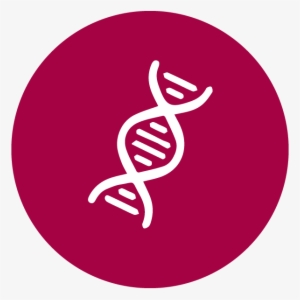 Could There Be Other Cells In My Sample #3540407