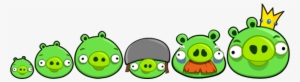 Image - Angry Birds Pigs #3541119