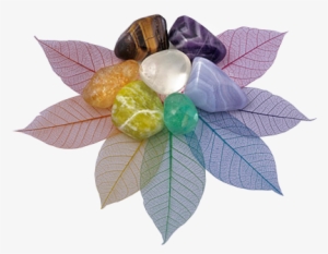 Emotional And Spiritual Level And To Provide A Place #3541562