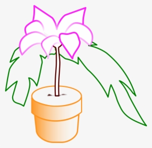 How To Set Use Planta Icon Png - Nochebuena Png Dibujo #3541564