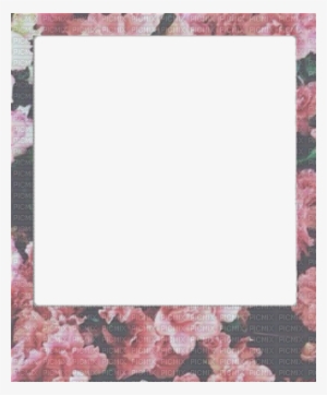 Loly33 Frame Cadre Polaroid - Floral Polaroid Png #3541565