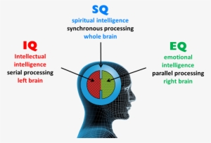 Difference Between Iq Eq And Sq #3541893