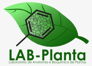 Lab-planta - Atlanta #3542160