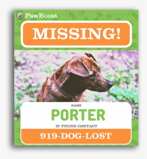 Lost Dog Flyer Template Sign Up For Local Lost Pet - Pet #3542303