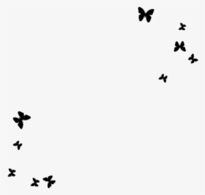 Png Borboletas Image - Butterfly #3542866