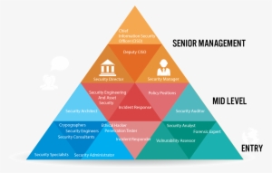 <a Href="https - Cyber Security Fields #3544665
